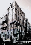 blue bird - amsterdam